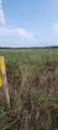 0 Halls Hill Pike - Photo 2