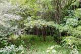 0 Valley Ln - Photo 4