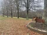 2378 Tom Fitzgerald Rd - Photo 33
