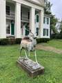 317 16th St - Photo 3