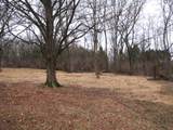 1311 Huffines Ridge Dr - Photo 8