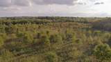2070 Hunters Point Pike - Photo 37
