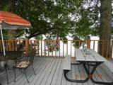 18767 Bream Bluff - Photo 21