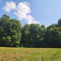 1475 Puncheon Creek Rd - Photo 22