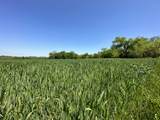 0 Highway 41A - Photo 21