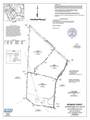 0 Primm Springs Road Tract #2 - Photo 20