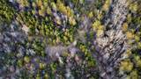 0 Mountain Ridge - Photo 12