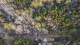 0 Mountain Ridge - Photo 13