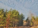 0 Mountain Ridge - Photo 5