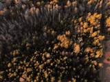 0 Mountain Ridge - Photo 8