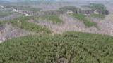 0 Sassafras Stand Ridge Road - Photo 2
