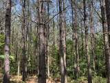 0 Sassafras Stand Ridge Road - Photo 7