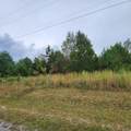 0 High Meadow Ct - Photo 1