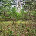 0 High Meadow Ct - Photo 3