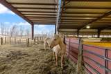 321 Bellview Rd - Photo 32