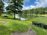 31 Lillypad Ln - Photo 5