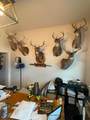 1820 Petty Hollow Rd - Photo 41