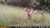 1820 Petty Hollow Rd - Photo 42