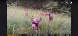 1820 Petty Hollow Rd - Photo 43