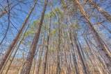 0 Old Tullahoma Rd - Photo 11