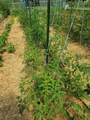 7690 Barnhill Rd - Photo 39