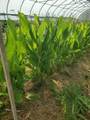 7690 Barnhill Rd - Photo 41