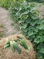 7690 Barnhill Rd - Photo 47
