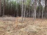 36 Pioneer Dr - Photo 12
