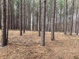36 Pioneer Dr - Photo 3