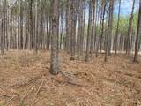 36 Pioneer Dr - Photo 5