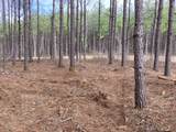 36 Pioneer Dr - Photo 6