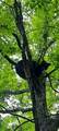 0 Hebbertsburg Rd - Photo 22