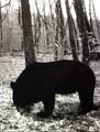 0 Hebbertsburg Rd - Photo 48