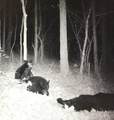 0 Hebbertsburg Rd - Photo 49