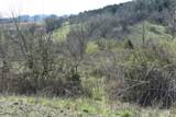 199 Dycus Landing Ln - Photo 3