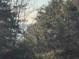 0 Turtle Point Lane - Photo 3