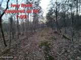 0 Ivey Road Hwy 127 N Off - Photo 6