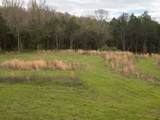 2451 Round Hill - Photo 48