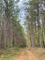 635 Stanley Hinson Rd - Photo 11