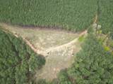 635 Stanley Hinson Rd - Photo 13
