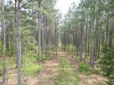 635 Stanley Hinson Rd - Photo 19