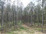 635 Stanley Hinson Rd - Photo 21
