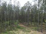 635 Stanley Hinson Rd - Photo 22