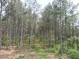 635 Stanley Hinson Rd - Photo 23