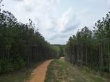 635 Stanley Hinson Rd - Photo 24
