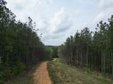635 Stanley Hinson Rd - Photo 25
