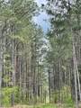 635 Stanley Hinson Rd - Photo 30
