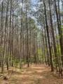 635 Stanley Hinson Rd - Photo 31