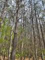 635 Stanley Hinson Rd - Photo 32