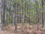635 Stanley Hinson Rd - Photo 33